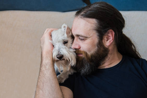 istock Dog tickle with human friend 1328916219