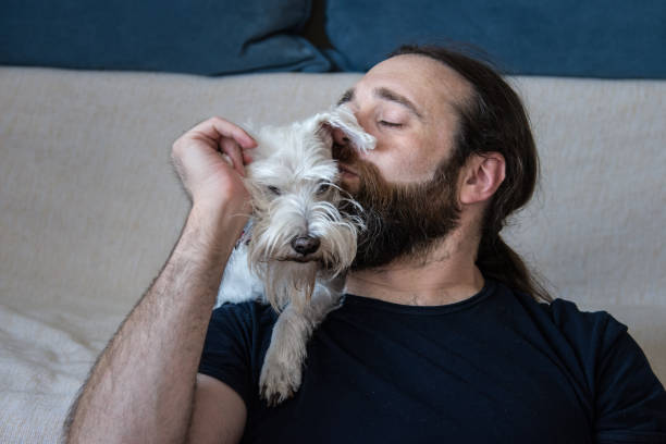 istock Dog tickle with human friend 1328916249