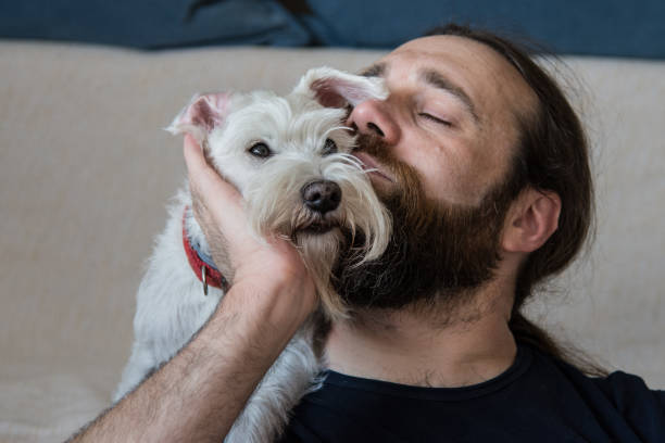 istock Dog tickle with human friend 1328916316