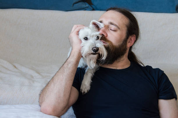 istock Dog tickle with human friend 1328916353