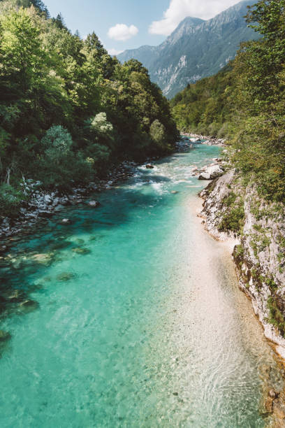 Emerald Soca river River Soča, true natural gem in Slovenia, Europe soca valley stock pictures, royalty-free photos & images