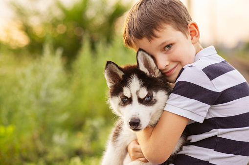 A little boy in a striped t-shirt lovingly hugs his pet husky dog outdoors.