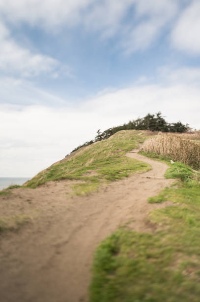 istock Grassy Uphill Trail Under Blue Sky in Coupeville, WA 1328929263