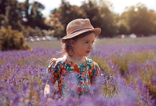 Baby Girl in the Purple Lavender Field in London