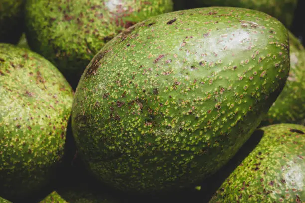 Healthy fruit avocado