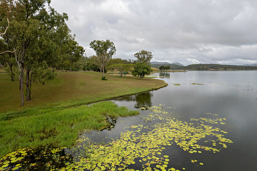 The grassy shoreline lined with weeds and algae, grass mowed for public use. Kinchant Dam, Queensland, Australia