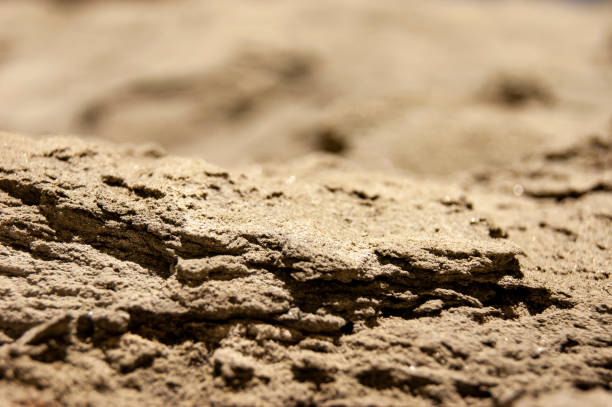 The texture of the sand. Sand quarry.