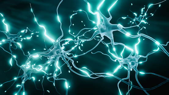 Neurons Cells System - 3d rendered image of Interconnected Neurons with electrical pulses.  Conceptual medical animation.  Healthcare concept. SEM [TEM] hologram view. Dark black and white mode with glowing neurons signals.