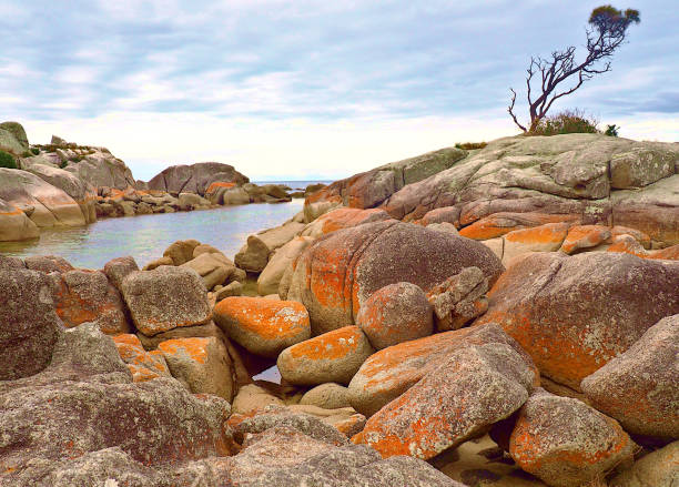 istock Bay of Fires, Tasmania 1328964322