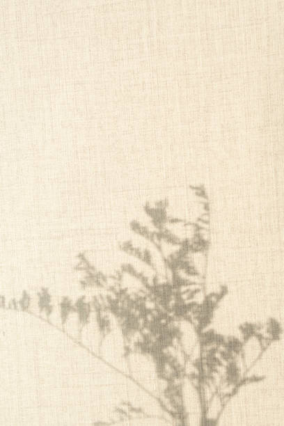 istock Shadows of plants in linen background 1328965111