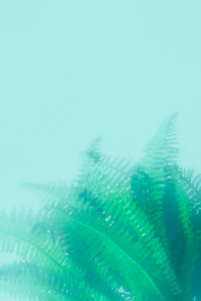 istock a view like the sea 1328965133