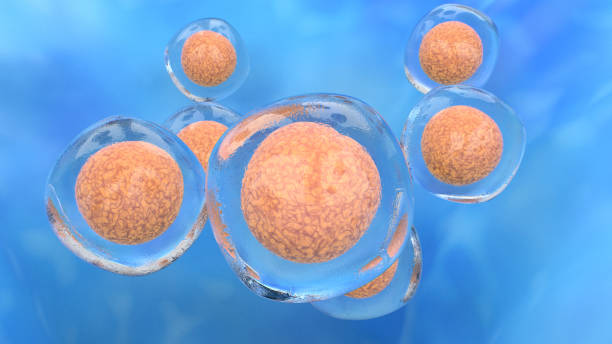 istock Detailed Image of Stem Cell 1328972894