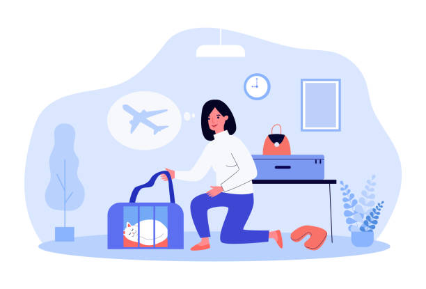 ilustrações de stock, clip art, desenhos animados e ícones de woman preparing for flight on airplane with beloved pet - cat box