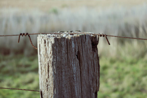 istock rustic timber fence post and barbed wire 1328976158