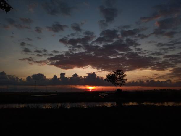 istock orange Sunrise on the Edge of Rural Maos Rice Fields 1328981428