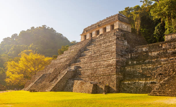 temple of inscriptions pyramid, palenque, mexico - mayan pyramids imagens e fotografias de stock