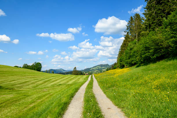 istock Country road over the hill 1328989503