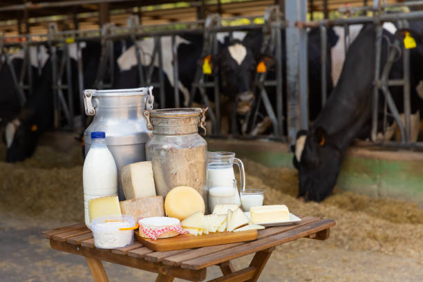 istock Image of dairy products on the farm 1328991306