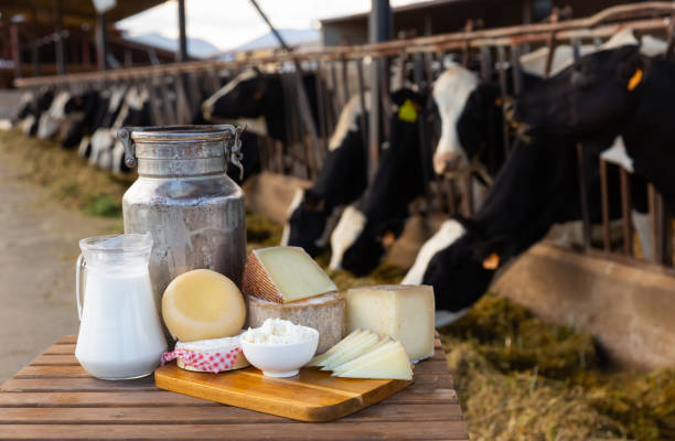 istock Image of dairy products on the farm 1328991394