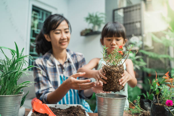 istock kid learng how to do gardening planting some plants 1328994502