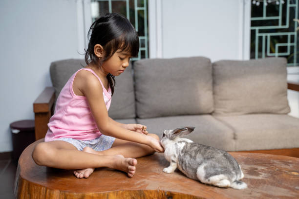 istock A little beautiful girl play with a rabbit 1328995891