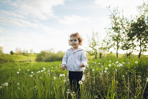 A cute curly girl picks up a dandelion and playing with it in the rural.