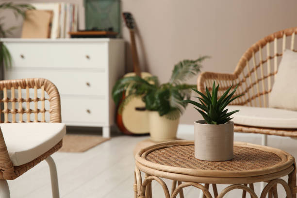 istock Beautiful houseplant on wicker table indoors. Space for text 1329004276