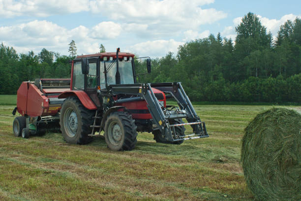 Tractor during hay bales making for livestock during field work on a farm