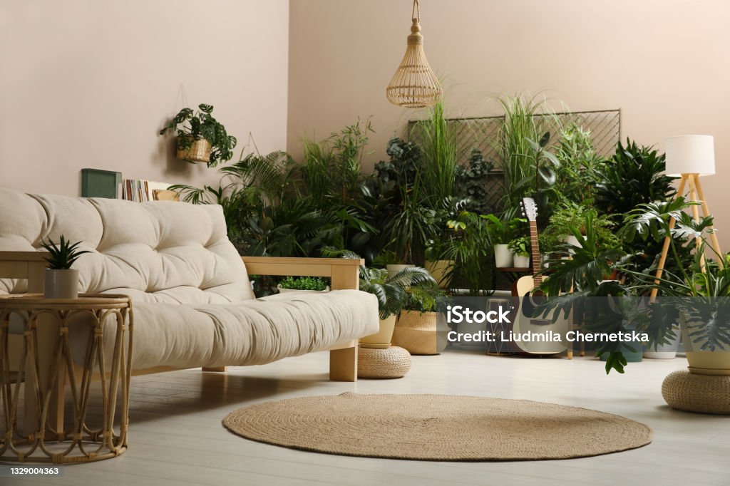 Living room interior with stylish furniture and different houseplants Living Room Stock Photo