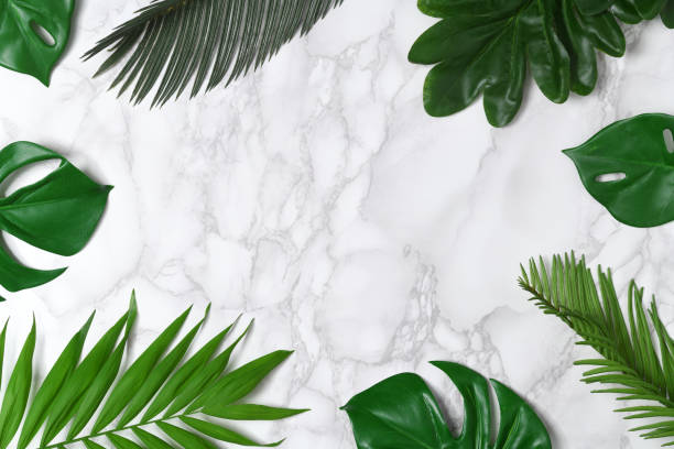 istock Frame of tropical leaves 1329008017