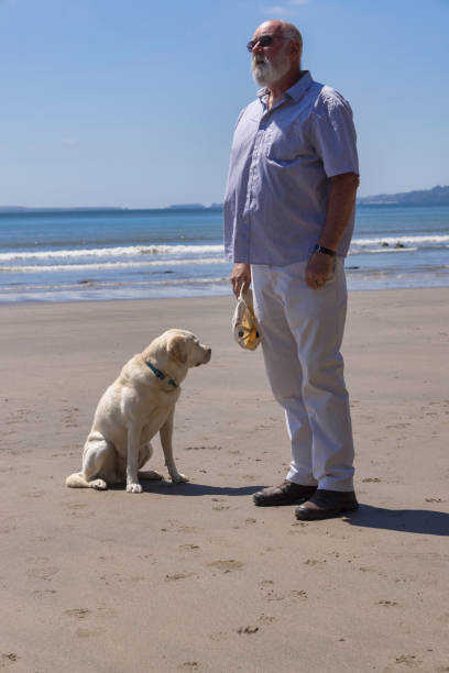 istock Man and his dog on a beach in West Wales 1329009108
