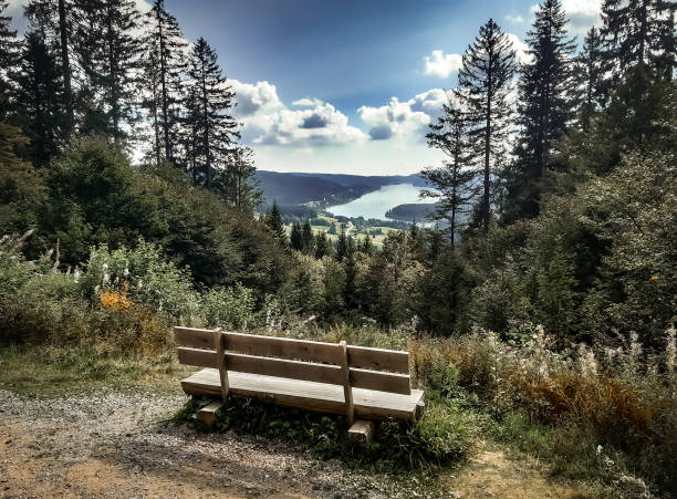 Idyllic view to a lake (Schluchsee) in the Black Forest, Germany