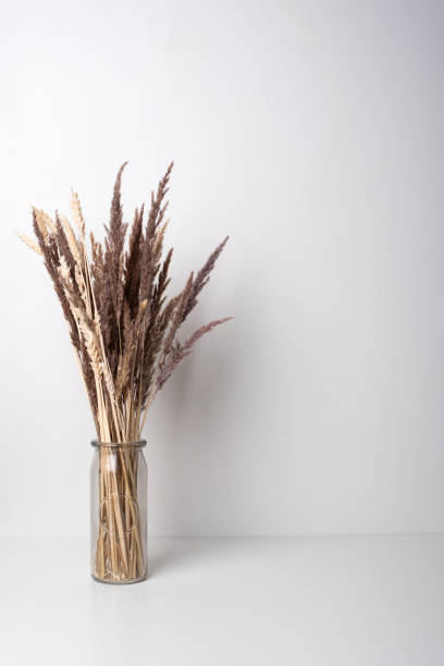 istock Ears of wheat in a vase on a light background 1329012859