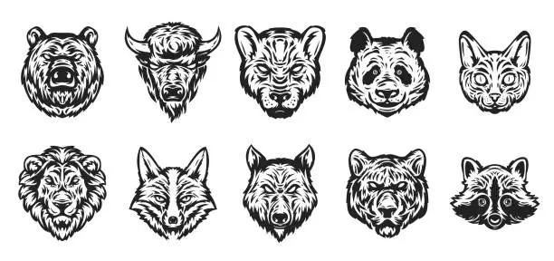 Vector illustration of Set of animal head in hand drawn sketch monochrome style isolated on white color. Bear, bison, panther, panda, cat, lion, fox, wolf, tiger, raccoon. Modern graphic design element. Vector illustration.