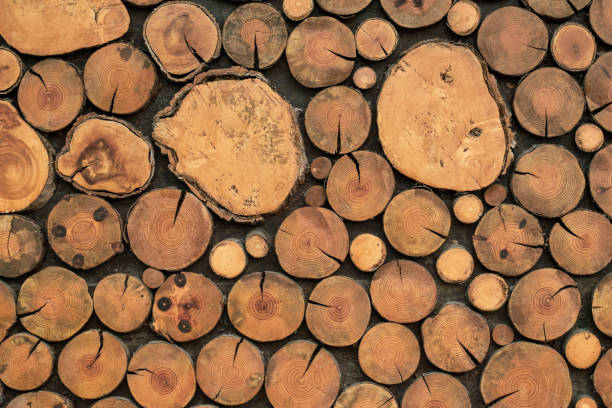 istock Brown logs texture, wooden backgrounds, wood light natural timber floor, rustic vintage surface, grain wallpaper, circles pattern, abstract board design, old oak table. 1329013919
