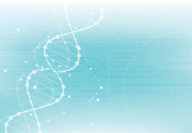Genes Templete 2,200+ Gene Chart Stock Illustrations, Royalty-Free Vector Graphics ...