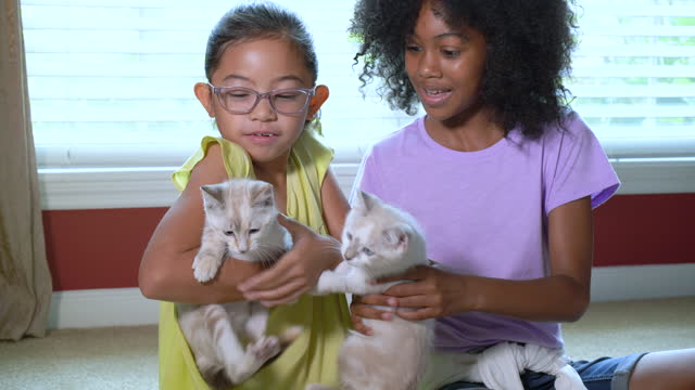 Girls holding kittens