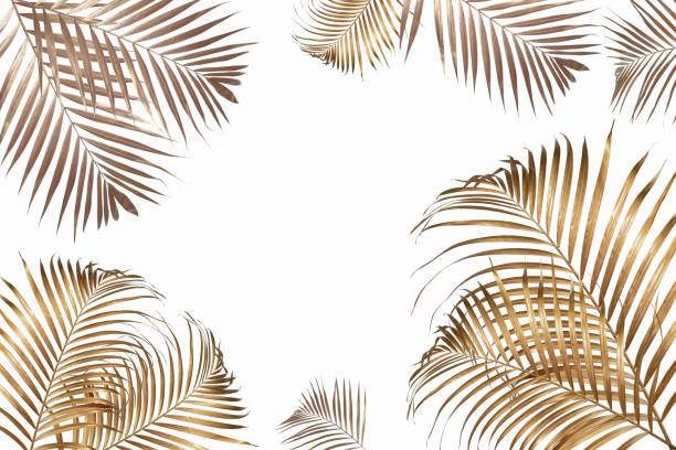 istock Gold tropical palm leaves on white background. Flat lay, top view minimal concept. 1329023129