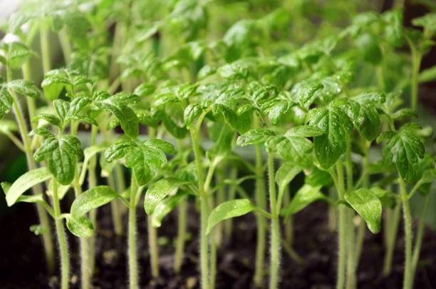 Популярные вопросы и ответы