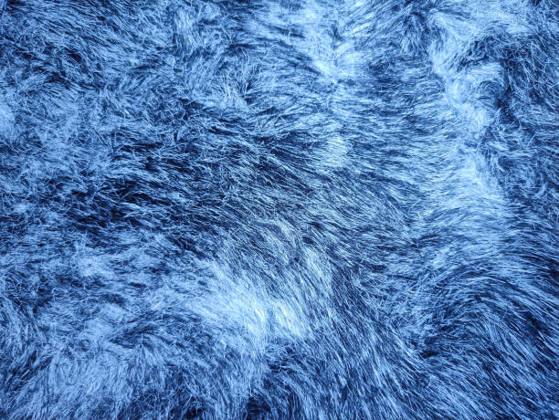 istock Texture of blue gray fluffy fur 1329030390
