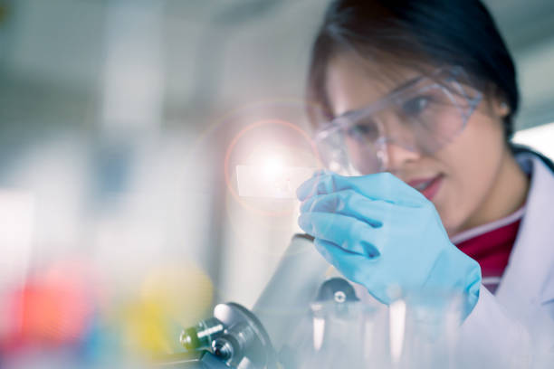 istock Young Asian medical technologist female making testing with test tube while doing research in science laboratory 1329032288
