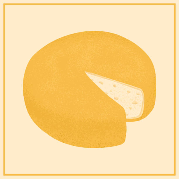 컷 피스 벡터 플랫 일러스트와 스위스 치즈 라운드 휠. 체다 또는 마스담 신선하고 맛있는 음식. - cheese wheel cheese cheddar wheel stock illustrations