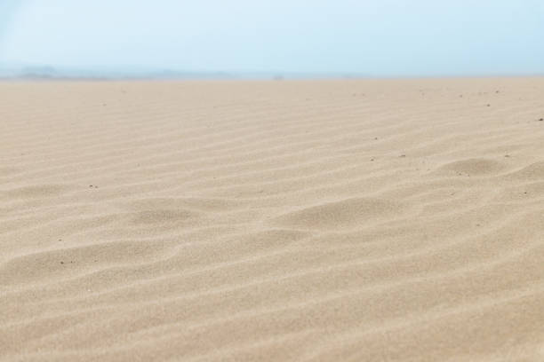 il primo piano ripple segna sulle dune di sabbia siccità nell'area desertica (onde di sabbia). - nature ripple summer plant foto e immagini stock