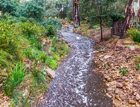 A nature refuge, bordered by dramatic cliffs, North Head Sanctuary, Manly, is located on the peninsula at the northern entrance to Sydney Harbour.