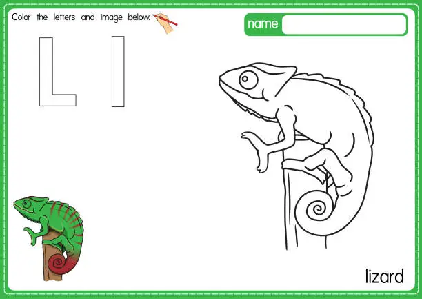 Vector illustration of Vector illustration of kids alphabet coloring book page with outlined clip art to color. Letter L for  Lizard.