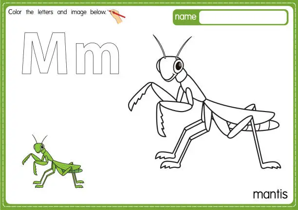 Vector illustration of Vector illustration of kids alphabet coloring book page with outlined clip art to color. Letter M for  Mantis.