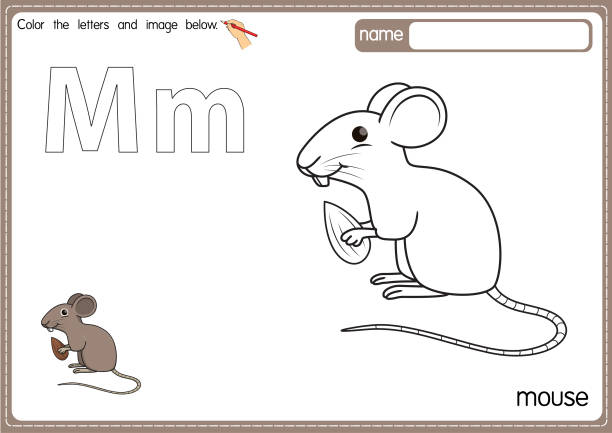 Vector illustration of kids alphabet coloring book page with outlined clip art to color. Letter M for  Mouse. Vector illustration of educational alphabet coloring page with cartoon for kids. Uppercase and lowercase letter for coloring, tracing, writing, do-a-dot, sticker, cut and paste, kids learning page mus musculus stock illustrations