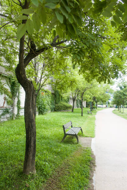 istock Bench in the summer park with green trees. 1329043843