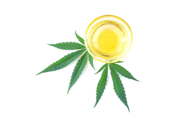 istock Hemp oil bowl and cannabis leaf isolated on white background 1329045863