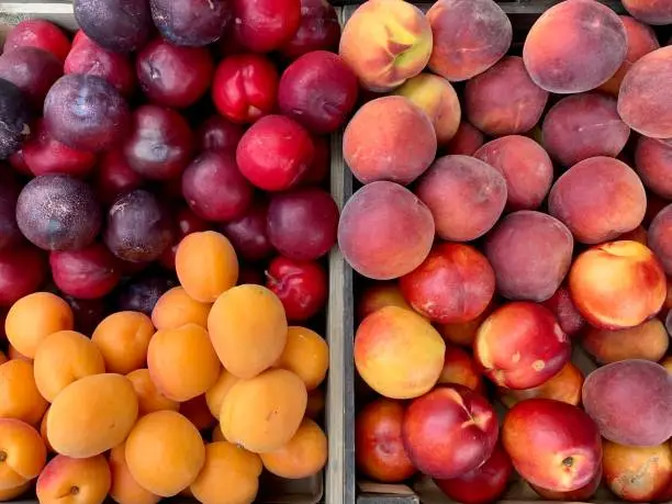 Farmer’s market: fresh organic apricot, plum, peach and nectarine in a wooden box